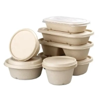 bagasse (sugarcane pulp) food packaging wh 200x200px
