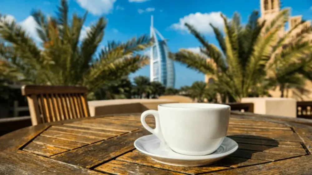 coffee-cat-hotel-cafe-tropical